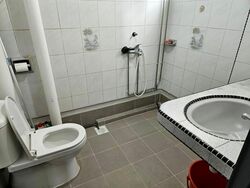Spottiswoode Park (D2), Apartment #570193161